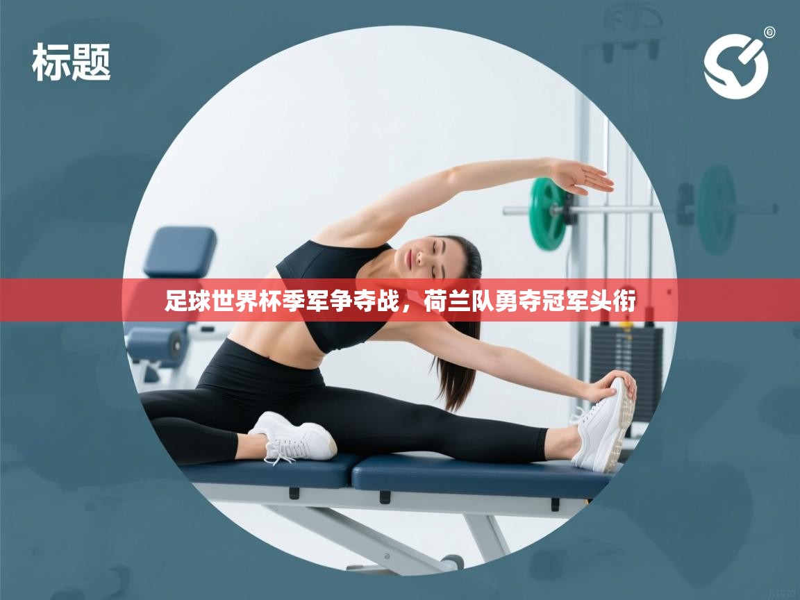 足球世界杯季军争夺战,荷兰队勇夺冠军头衔 第2张